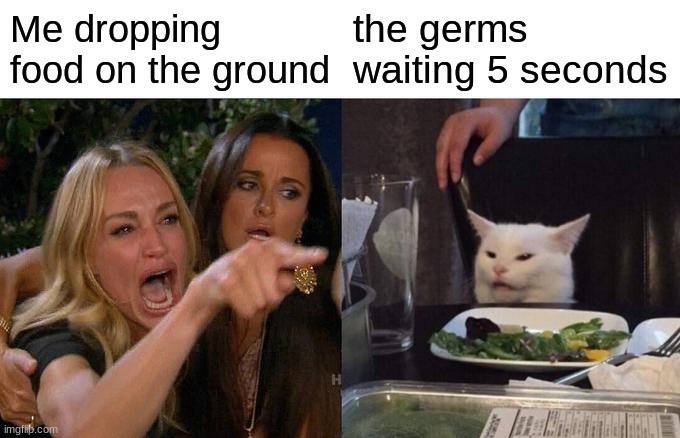 The 5 second rule | Me dropping food on the ground; the germs waiting 5 seconds | image tagged in memes,woman yelling at cat | made w/ Imgflip meme maker