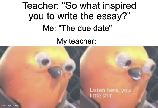 The due date (if this gets marked istg) | Teacher: “So what inspired you to write the essay?”; Me: “The due date”; My teacher: | image tagged in listen here you little shit bird,memes,funny,true story,relatable memes,school | made w/ Imgflip meme maker