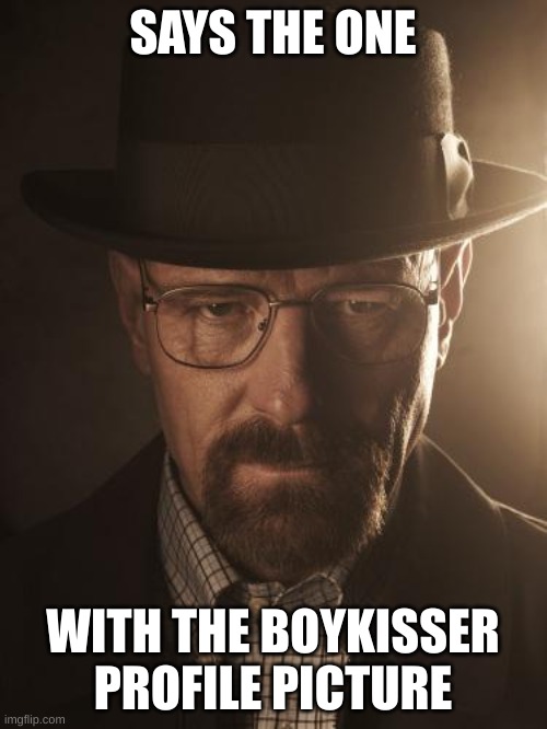 Walter White | SAYS THE ONE WITH THE BOYKISSER PROFILE PICTURE | image tagged in walter white | made w/ Imgflip meme maker