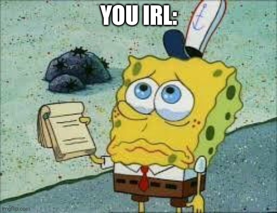 Help_please_spongebob | YOU IRL: | image tagged in help_please_spongebob | made w/ Imgflip meme maker