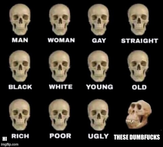 idiot skull | THESE DUMBFUCKS HI | image tagged in idiot skull | made w/ Imgflip meme maker