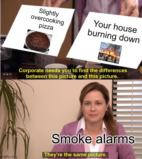 bepsi | Slightly overcooking pizza; Your house burning down; Smoke alarms | image tagged in memes,they're the same picture | made w/ Imgflip meme maker