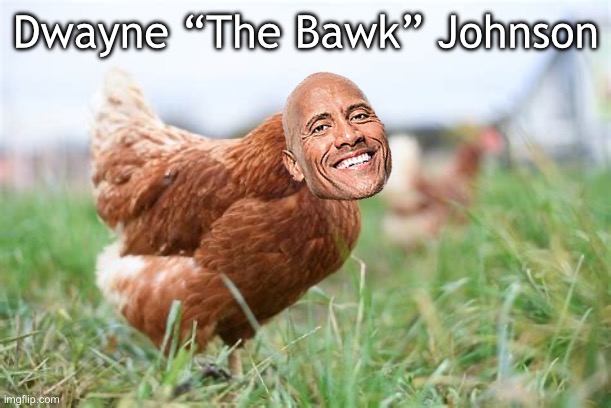 The Bawk | Dwayne “The Bawk” Johnson | image tagged in the rock,chicken | made w/ Imgflip meme maker