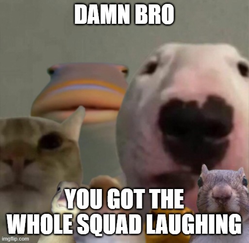 The council remastered | DAMN BRO YOU GOT THE WHOLE SQUAD LAUGHING | image tagged in the council remastered | made w/ Imgflip meme maker