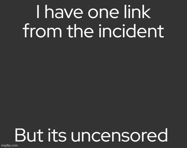 I don't know how people are into this. | I have one link from the incident; But its uncensored | image tagged in grey square fr | made w/ Imgflip meme maker