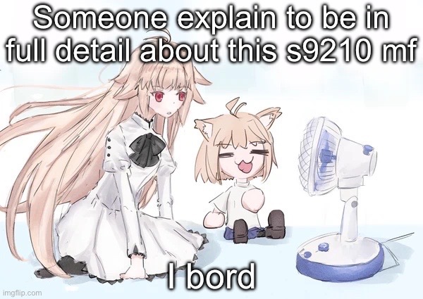Neco arc | Someone explain to be in full detail about this s9210 mf; I bord | image tagged in neco arc | made w/ Imgflip meme maker