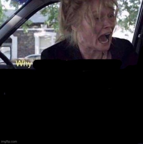 Why Can't You Just Be Normal | image tagged in why can't you just be normal | made w/ Imgflip meme maker