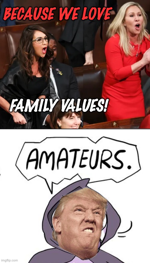 BECAUSE WE LOVE FAMILY VALUES! | image tagged in boebert and mtg,amateurs 3 0 | made w/ Imgflip meme maker