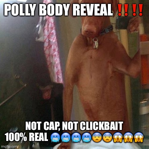 Nude Selfie | POLLY BODY REVEAL ‼️‼️; NOT CAP, NOT CLICKBAIT 100% REAL 🥶🥶🥶🥶😨😨😱😱😱 | image tagged in nude selfie | made w/ Imgflip meme maker