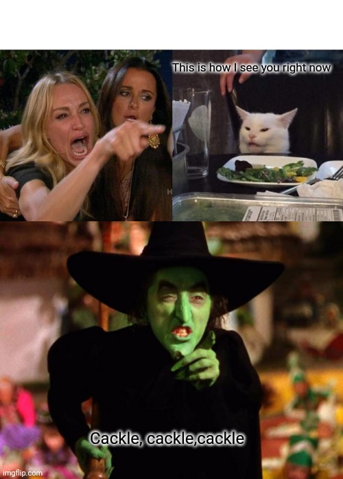 This is how I see you right now; Cackle, cackle,cackle | image tagged in memes,woman yelling at cat,wicked witch | made w/ Imgflip meme maker