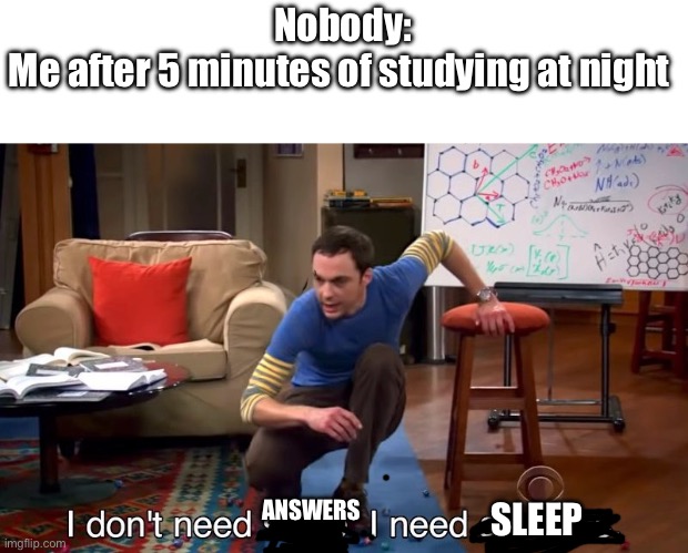 The story of my life | Nobody:
Me after 5 minutes of studying at night; ANSWERS; SLEEP | image tagged in i don't need sleep i need answers,studying | made w/ Imgflip meme maker