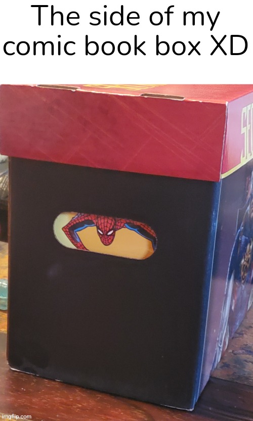 My friendly neighborhood Spiderman XD | The side of my comic book box XD | image tagged in spiderman,peter parker,comic book | made w/ Imgflip meme maker