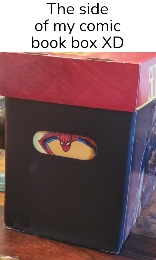 I sort from A-Z and I have a new version of amazing fantasy #15 | The side of my comic book box XD | image tagged in spiderman,spiderman peter parker,peter parker,comic book,marvel,marvel comics | made w/ Imgflip meme maker