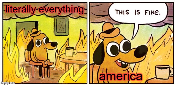 true memes | literally everything; america | image tagged in memes,this is fine | made w/ Imgflip meme maker
