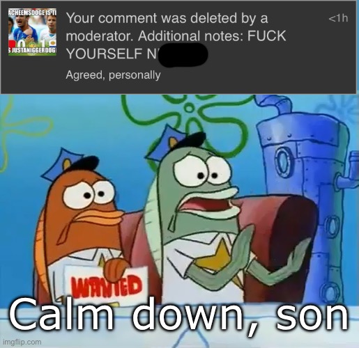 Calm down son | Calm down, son | image tagged in calm down son | made w/ Imgflip meme maker