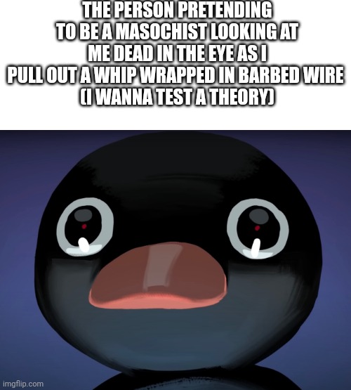 Image title | THE PERSON PRETENDING TO BE A MASOCHIST LOOKING AT ME DEAD IN THE EYE AS I PULL OUT A WHIP WRAPPED IN BARBED WIRE 
(I WANNA TEST A THEORY) | image tagged in pingu stare | made w/ Imgflip meme maker
