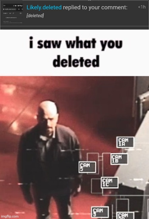 I'm not taking risks | image tagged in i saw what you deleted | made w/ Imgflip meme maker