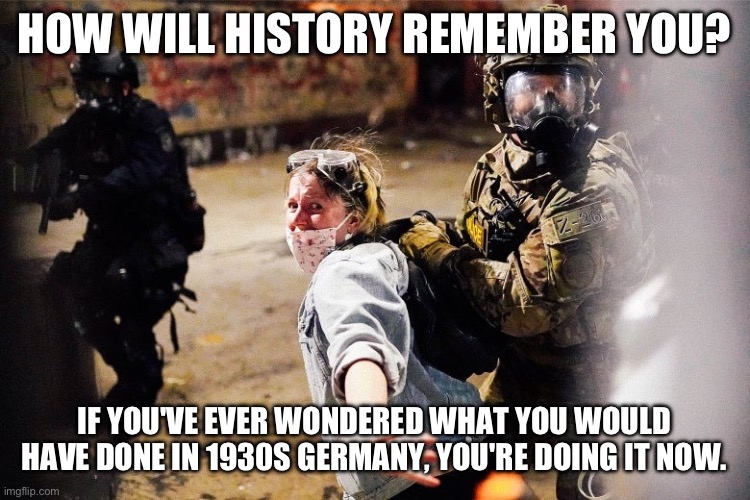 1930’s Germany what are you doing? | HOW WILL HISTORY REMEMBER YOU? IF YOU'VE EVER WONDERED WHAT YOU WOULD HAVE DONE IN 1930S GERMANY, YOU'RE DOING IT NOW. | image tagged in trump's america,germany,fascism | made w/ Imgflip meme maker