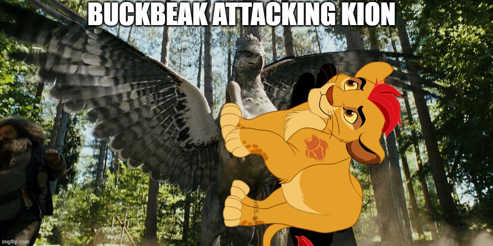 Buckbeak attacking Draco Malfoy | BUCKBEAK ATTACKING KION | image tagged in buckbeak attacking draco malfoy | made w/ Imgflip meme maker