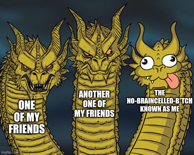 I had no reason to make this and I know it. | THE NO-BRAINCELLED-B*TCH KNOWN AS ME; ANOTHER ONE OF MY FRIENDS; ONE OF MY FRIENDS | image tagged in three-headed dragon | made w/ Imgflip meme maker