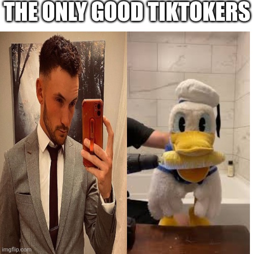 OHHH YOU TOUCHED MY TALALAA | THE ONLY GOOD TIKTOKERS | image tagged in tiktok,tik tok,mr talalaa,donaldducc,tags,too many tags | made w/ Imgflip meme maker
