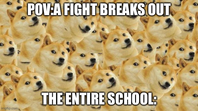 Ooh a fight damn | POV:A FIGHT BREAKS OUT; THE ENTIRE SCHOOL: | image tagged in memes,multi doge | made w/ Imgflip meme maker