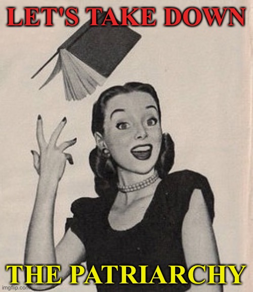 Let's Take Down the Patriarchy | LET'S TAKE DOWN; THE PATRIARCHY | image tagged in throwing book vintage woman | made w/ Imgflip meme maker