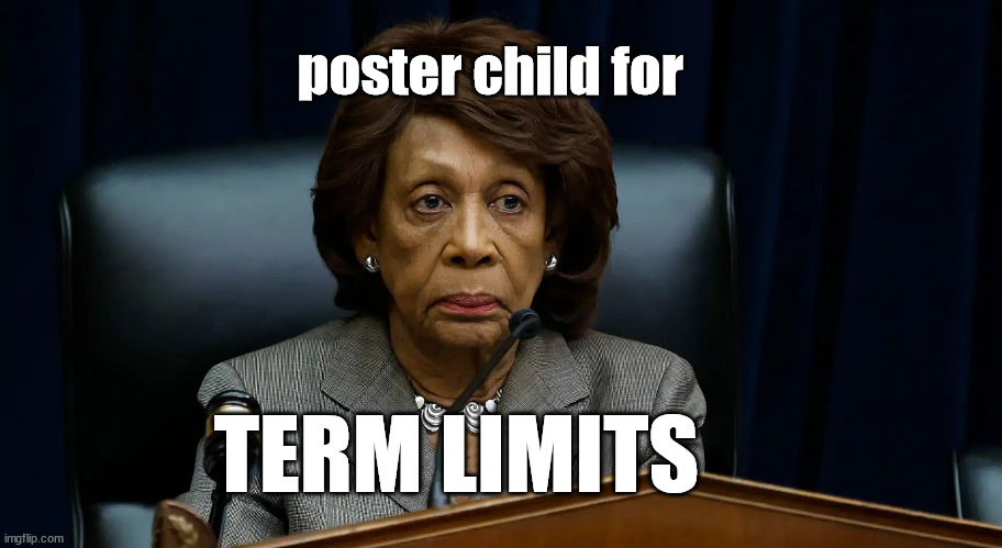 Term Limits, please! | poster child for; TERM LIMITS | image tagged in old woman,congress | made w/ Imgflip meme maker