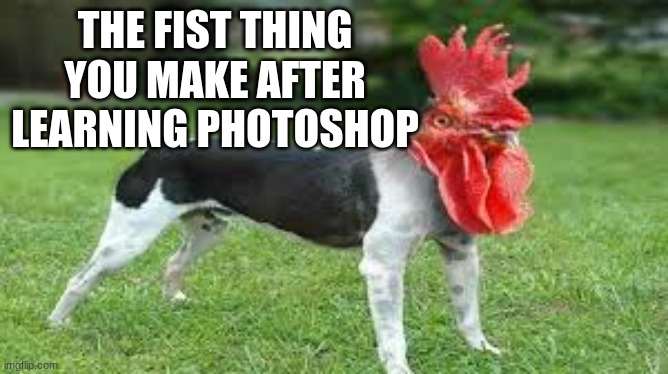 Number 1 | THE FIST THING YOU MAKE AFTER LEARNING PHOTOSHOP | image tagged in funny memes | made w/ Imgflip meme maker