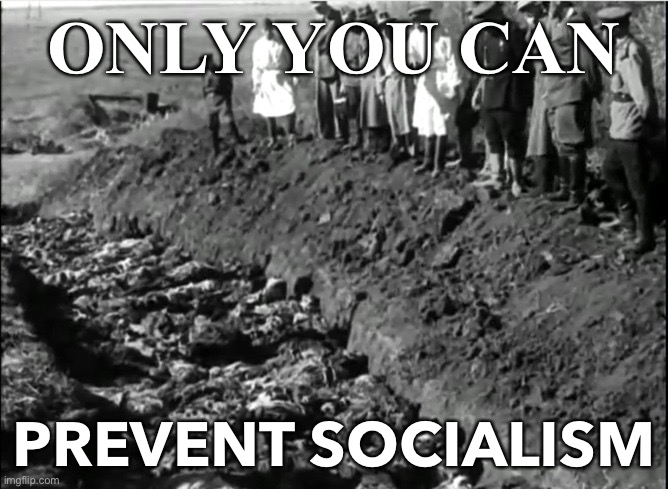 Only You Can Prevent Socialism | ONLY YOU CAN; PREVENT SOCIALISM | image tagged in socialist genocide | made w/ Imgflip meme maker