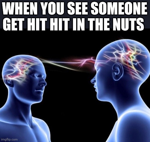 Me: ouch!! Him: ahhhhhhh!!!!!! | WHEN YOU SEE SOMEONE GET HIT HIT IN THE NUTS | image tagged in connected minds | made w/ Imgflip meme maker