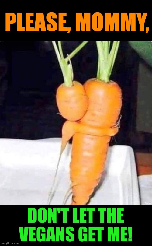 The Root Problem | PLEASE, MOMMY, DON'T LET THE VEGANS GET ME! | image tagged in carrot,baby,momma,vegans,vegetable,killer | made w/ Imgflip meme maker