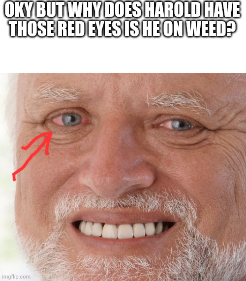 HIDE THE WEED HAROLD | OKY BUT WHY DOES HAROLD HAVE THOSE RED EYES IS HE ON WEED? | image tagged in hide the pain harold | made w/ Imgflip meme maker