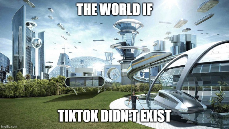 The future world if | THE WORLD IF; TIKTOK DIDN'T EXIST | image tagged in the future world if | made w/ Imgflip meme maker