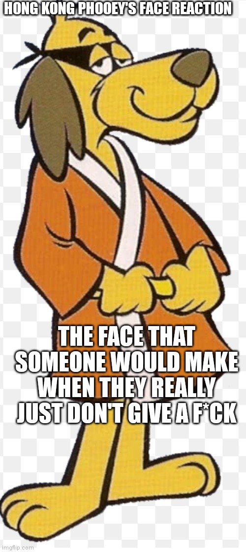 The face of someone who just really doesn't care | HONG KONG PHOOEY'S FACE REACTION; THE FACE THAT SOMEONE WOULD MAKE WHEN THEY REALLY JUST DON'T GIVE A F*CK | image tagged in funny memes,hong kong phooey | made w/ Imgflip meme maker