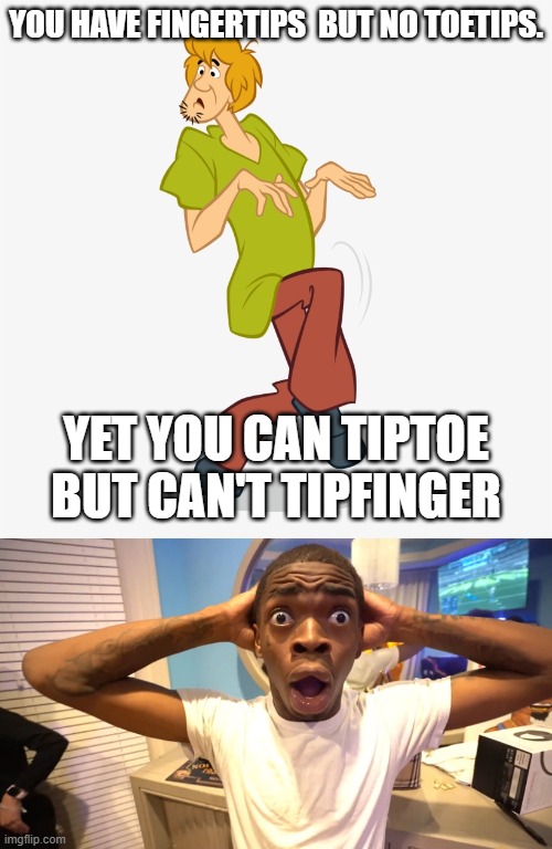 bruh | YOU HAVE FINGERTIPS  BUT NO TOETIPS. YET YOU CAN TIPTOE BUT CAN'T TIPFINGER | image tagged in tip | made w/ Imgflip meme maker