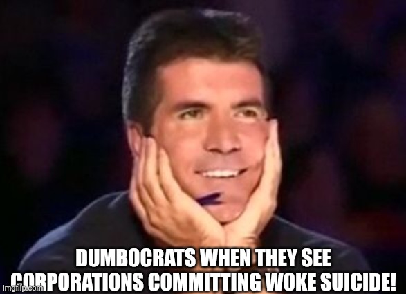 In love simon | DUMBOCRATS WHEN THEY SEE CORPORATIONS COMMITTING WOKE SUICIDE! | image tagged in in love simon | made w/ Imgflip meme maker