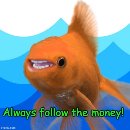 hecklefish | Always follow the money! | image tagged in truth | made w/ Imgflip meme maker
