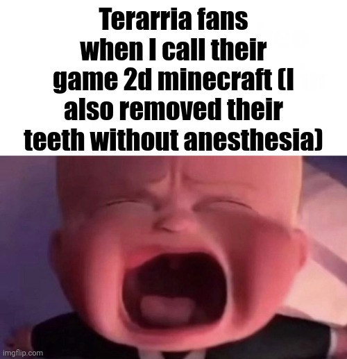 Boss Baby | Terarria fans when I call their game 2d minecraft (I also removed their teeth without anesthesia) | image tagged in boss baby | made w/ Imgflip meme maker