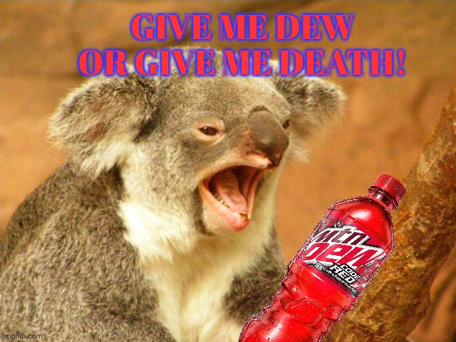 Vote big tent party. We have the DEW! | GIVE ME DEW OR GIVE ME DEATH! | image tagged in dew it,mountain dew,angry koala,no this is patrick | made w/ Imgflip meme maker