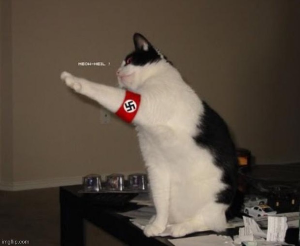 Nazi salute cat | image tagged in nazi salute cat | made w/ Imgflip meme maker