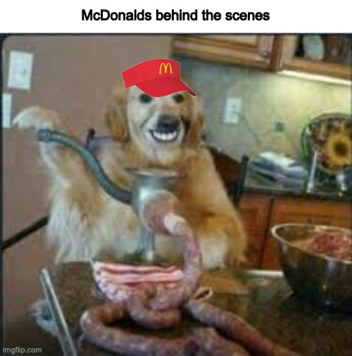 (not really) | McDonalds behind the scenes | image tagged in meat dog | made w/ Imgflip meme maker