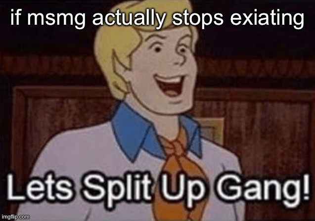 actually many backups and copies already exist | if msmg actually stops existing | image tagged in let s split up hang | made w/ Imgflip meme maker