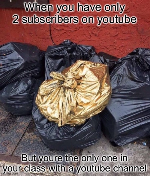 Gold Trash | When you have only 2 subscribers on youtube; But youre the only one in your class with a youtube channel | image tagged in gold trash,youtube,memes,trash,subscribe,funny | made w/ Imgflip meme maker