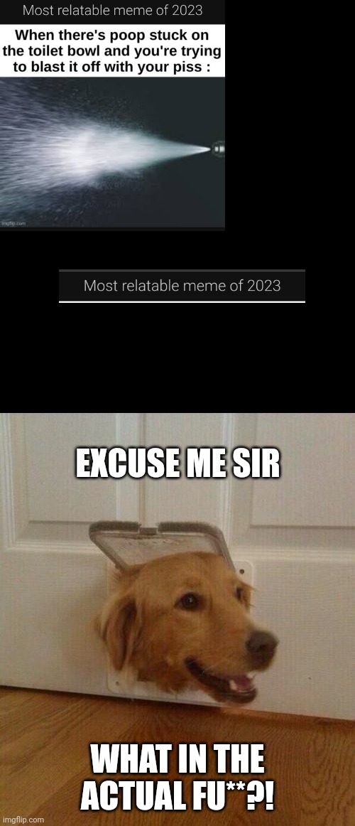 Dog door | EXCUSE ME SIR WHAT IN THE ACTUAL FU**?! | image tagged in dog door | made w/ Imgflip meme maker