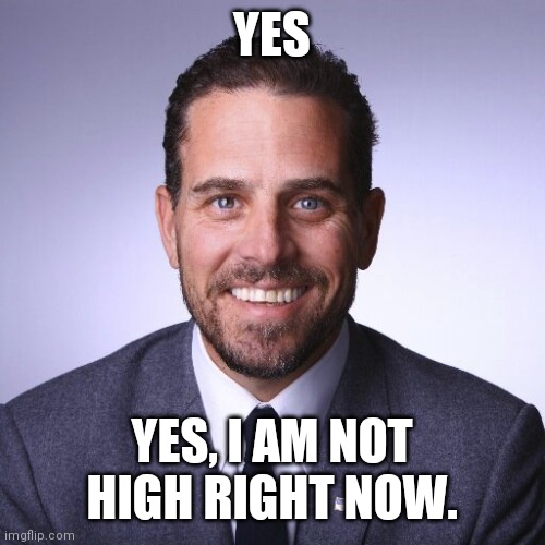 Hunter Biden | YES YES, I AM NOT HIGH RIGHT NOW. | image tagged in hunter biden | made w/ Imgflip meme maker