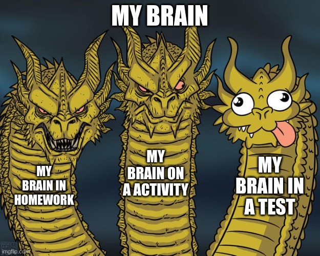 Three-headed Dragon | MY BRAIN; MY BRAIN ON A ACTIVITY; MY BRAIN IN A TEST; MY BRAIN IN HOMEWORK | image tagged in three-headed dragon | made w/ Imgflip meme maker