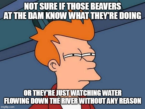 Not sure if- fry | NOT SURE IF THOSE BEAVERS AT THE DAM KNOW WHAT THEY'RE DOING; OR THEY'RE JUST WATCHING WATER FLOWING DOWN THE RIVER WITHOUT ANY REASON | image tagged in not sure if- fry,meme,memes | made w/ Imgflip meme maker