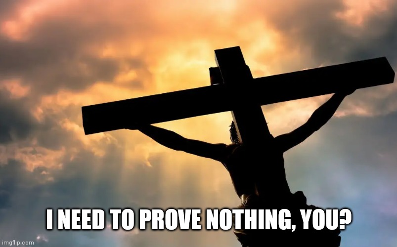 Jesus Christ on Cross  Sun | I NEED TO PROVE NOTHING, YOU? | image tagged in jesus christ on cross sun | made w/ Imgflip meme maker