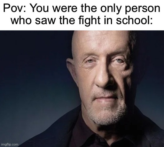 cringe fun stream memes replaced with mike | image tagged in mike ehrmantraut | made w/ Imgflip meme maker